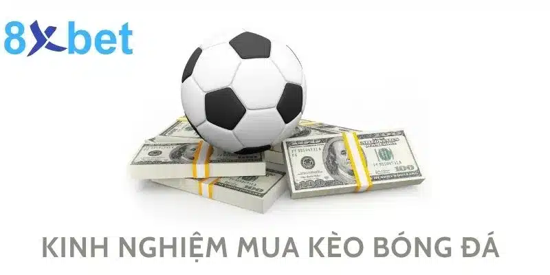 Mua Kèo Bóng Đá Liền Tay, Nhận Ngay Tiền Thưởng Lớn Cùng 8xbet 5 Một số kinh nghiệm khi mua kèo bóng đá